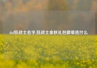 dnf狂战士名字,狂战士金秋礼包徽章选什么