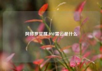 阿修罗觉醒,DNF雷云是什么