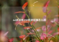 dnf冰洁师,DNF中冰结师怎么样