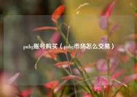 pubg账号购买（pubg市场怎么交易）