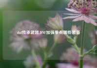 dnf传承武器,DNF加强拳有哪些装备