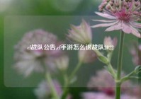 cf战队公告,cf手游怎么退战队2022