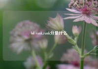 lol rank,rank分是什么