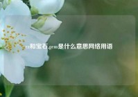 ez和宝石,gem是什么意思网络用语