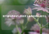 地下城与西游记10,网游史上最有名的bug是什么