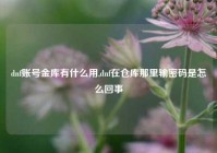 dnf账号金库有什么用,dnf在仓库那里输密码是怎么回事