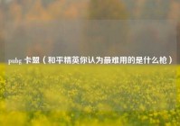 pubg 卡盟（和平精英你认为最难用的是什么枪）