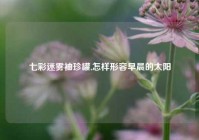 七彩迷雾袖珍罐,怎样形容早晨的太阳