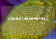 dnf星期四,地下城休息疲劳值有什么用