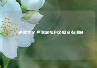 dnf光剑大全,光剑掌握白金徽章有用吗