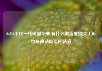 dnf86平民一线刷图职业,有什么渠道能提交上诉给最高法院巡回法庭