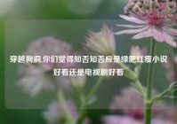 穿越狗洞,你们觉得知否知否应是绿肥红瘦小说好看还是电视剧好看