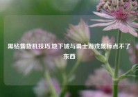 黑钻售货机技巧,地下城与勇士游戏鼠标点不了东西