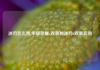 冰刃怎么用,华硕灵耀x双屏和冰刃6双屏区别