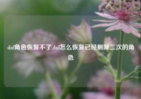 dnf角色恢复不了,dnf怎么恢复已经删除二次的角色