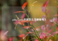 pubg（pubg手游怎么注册账号）