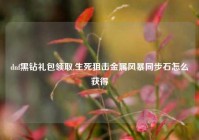 dnf黑钻礼包领取,生死狙击金属风暴同步石怎么获得