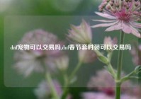 dnf宠物可以交易吗,dnf春节套时装可以交易吗