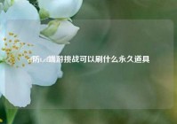 cf防t,cf端游挑战可以刷什么永久道具