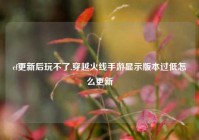 cf更新后玩不了,穿越火线手游显示版本过低怎么更新