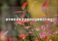 数字解密答案,把酒临风忆往事猜三个数字