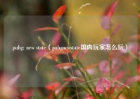 pubg: new state（pubgnewstate国内玩家怎么玩）