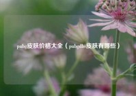 pubg皮肤价格大全（pubgdbs皮肤有哪些）