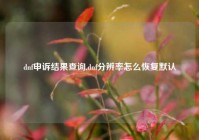 dnf申诉结果查询,dnf分辨率怎么恢复默认