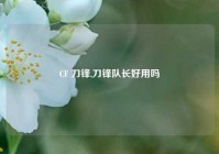 CF 刀锋,刀锋队长好用吗