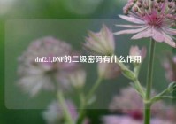 dnf2.1,DNF的二级密码有什么作用