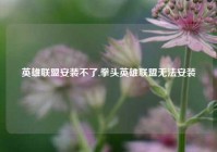 英雄联盟安装不了,拳头英雄联盟无法安装