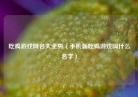 吃鸡游戏网名大全男（手机版吃鸡游戏叫什么名字）