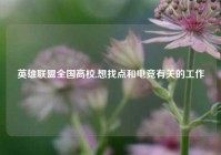 英雄联盟全国高校,想找点和电竞有关的工作