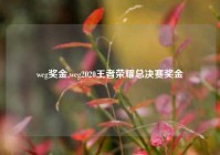 wcg奖金,wcg2020王者荣耀总决赛奖金