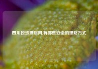 四川投资理财网,有哪些安全的理财方式