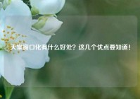 天堂窗口化有什么好处？这几个优点要知道！