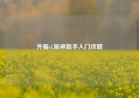 外服cf,原神新手入门攻略