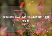 吃鸡手游新手入门必知（新手玩吃鸡怎么设置灵敏度）