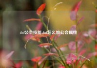 dnf公会技能,dnf怎么加公会属性