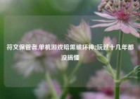 符文保管者,单机游戏暗黑破坏神2玩过十几年都没搞懂