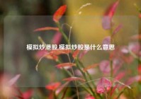 模拟炒港股,模拟炒股是什么意思