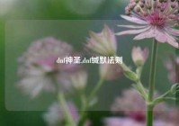 dnf神圣,dnf缄默法则