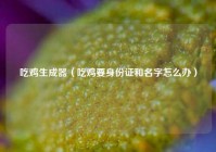 吃鸡生成器（吃鸡要身份证和名字怎么办）