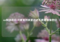 dnf剑宗连招,可是策划就是迟迟不愿意加强他们