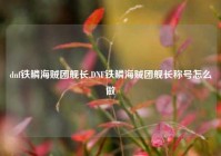 dnf铁鳞海贼团舰长,DNF铁鳞海贼团舰长称号怎么做