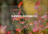 至诚理财网,中和网苑是什么