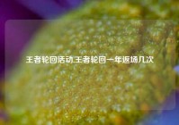 王者轮回活动,王者轮回一年返场几次