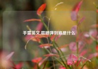 手雷英文,震撼弹到底是什么