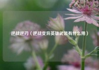 逆战逆刃（逆战变异英雄武装有什么用）