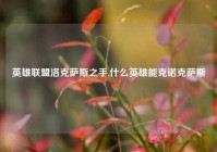 英雄联盟洛克萨斯之手,什么英雄能克诺克萨斯